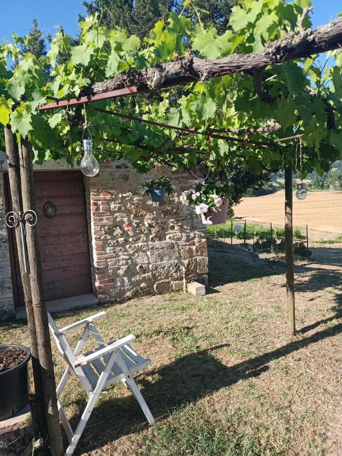 Вилла Agriturismo Podere La Selva Серре-ди-Раполано Экстерьер фото