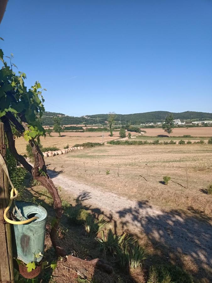 Вилла Agriturismo Podere La Selva Серре-ди-Раполано Экстерьер фото