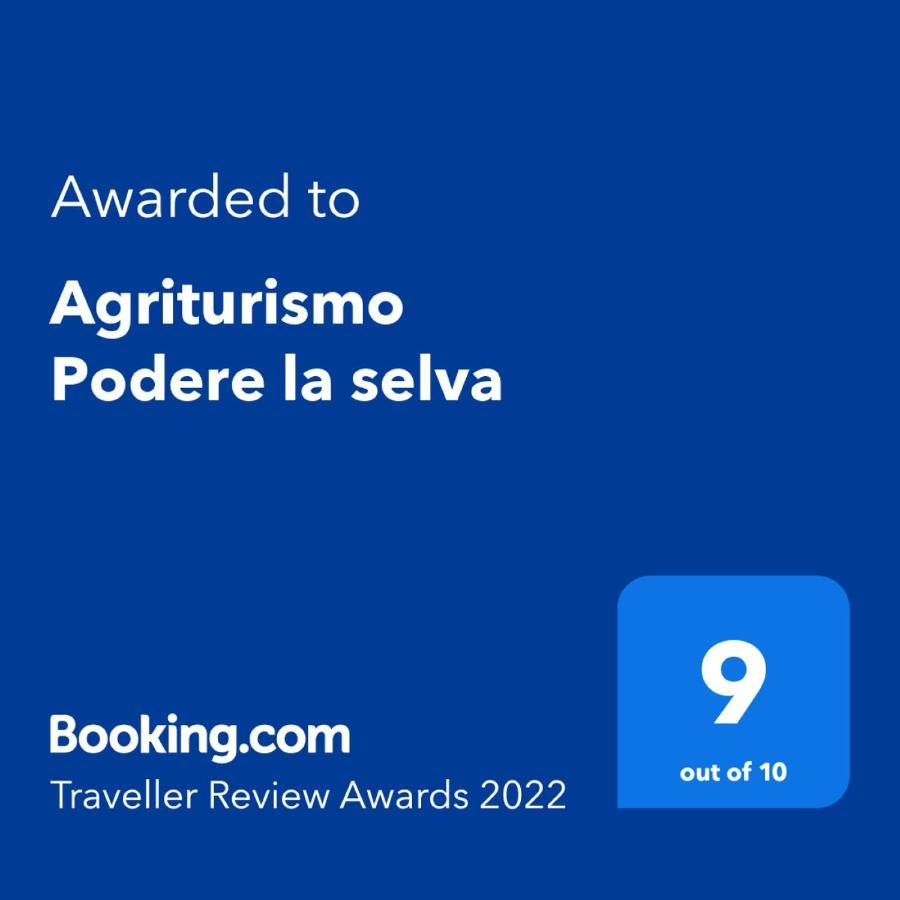 Вилла Agriturismo Podere La Selva Серре-ди-Раполано Экстерьер фото