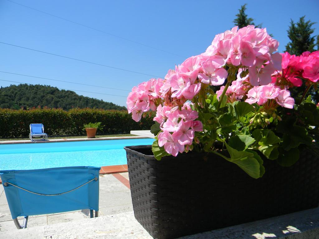 Вилла Agriturismo Podere La Selva Серре-ди-Раполано Экстерьер фото