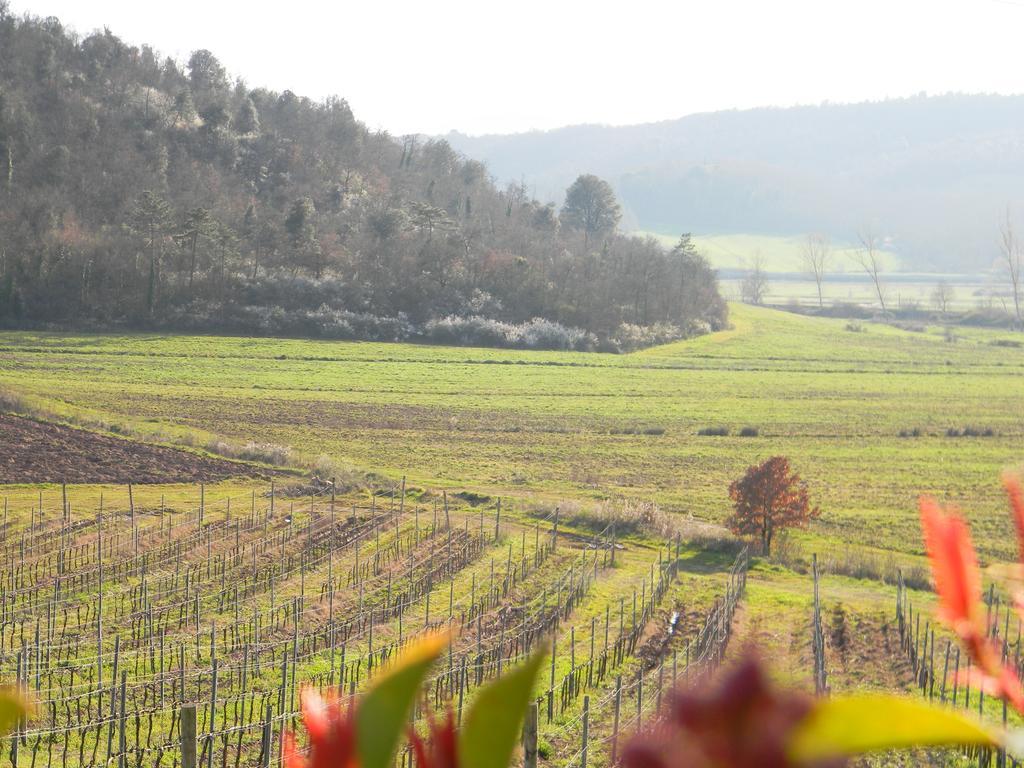 Вилла Agriturismo Podere La Selva Серре-ди-Раполано Экстерьер фото