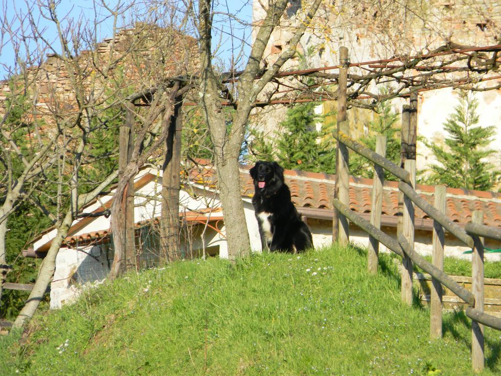 Вилла Agriturismo Podere La Selva Серре-ди-Раполано Экстерьер фото