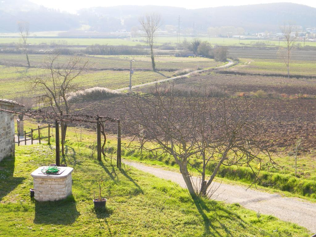Вилла Agriturismo Podere La Selva Серре-ди-Раполано Экстерьер фото