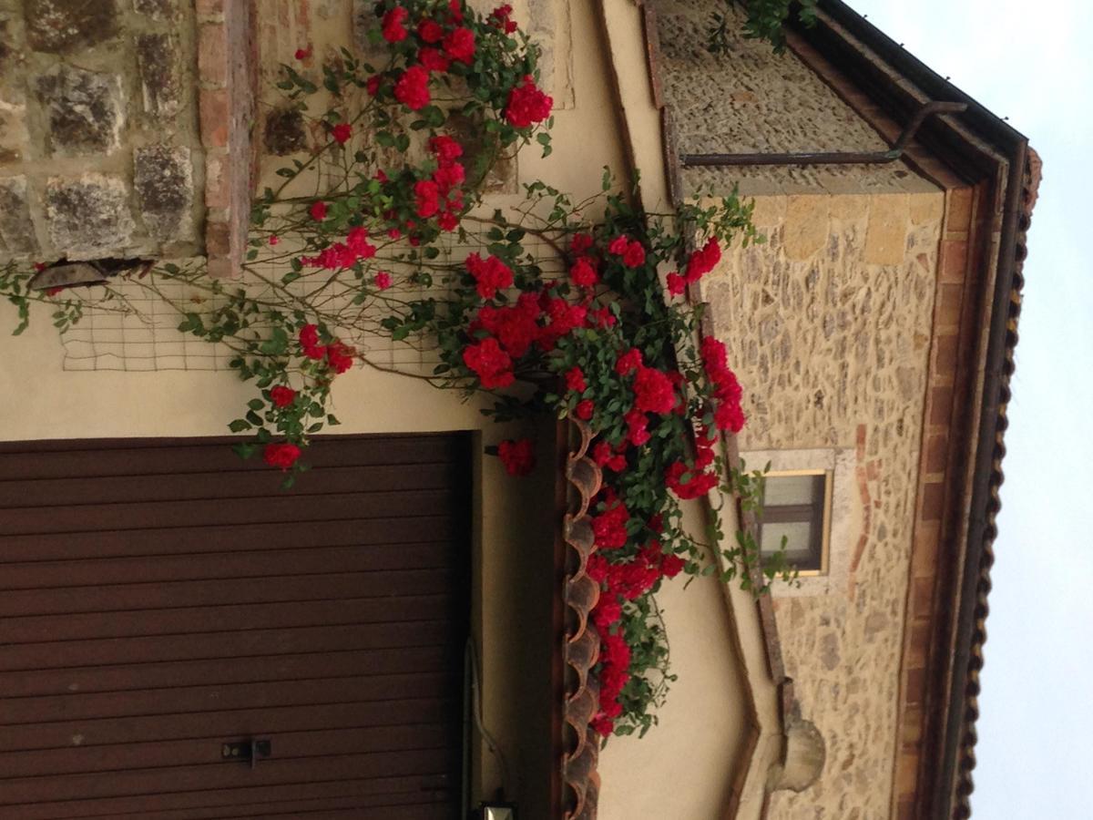 Вилла Agriturismo Podere La Selva Серре-ди-Раполано Экстерьер фото